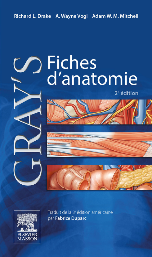 Gray's Fiches D'anatomie - ELSEVIER / MASSON - 9782294743702